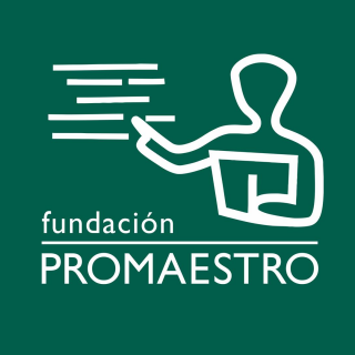 Logo Promaestro (Home)